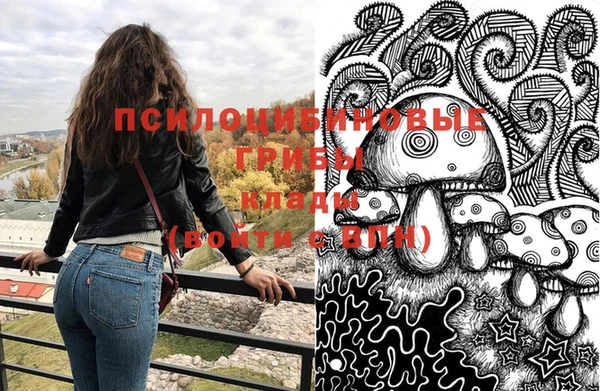 спайс Алзамай