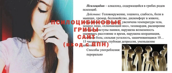 спайс Алексеевка