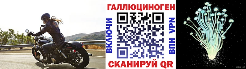 Псилоцибиновые грибы GOLDEN TEACHER где купить наркоту Североуральск