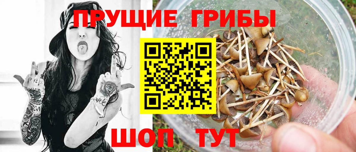 Галлюциногенные грибы мухоморы Североуральск